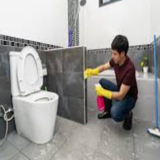 Bathroom Cleaning (Normal Clenaing)