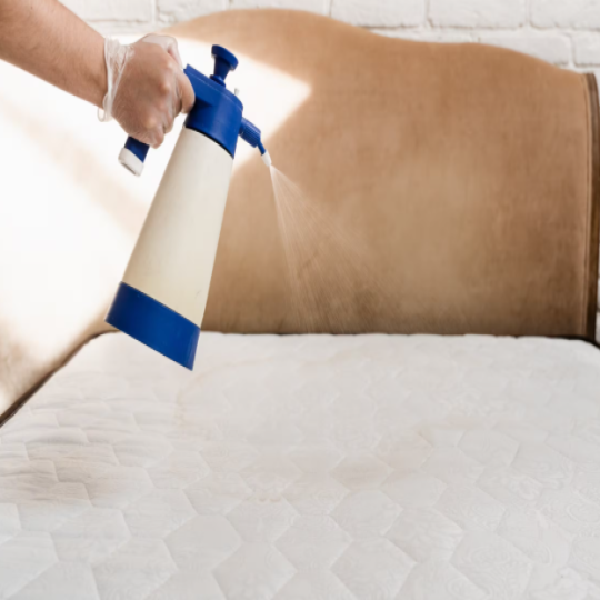 Mattress Cleaning