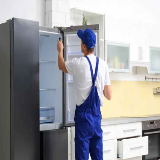 Double door refrigerator check-up