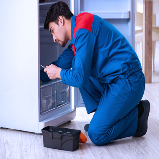 Refrigerator Services 
